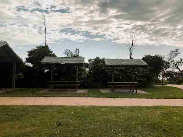 Diamond Head Campground Picnic tables at Diamond Head Campground