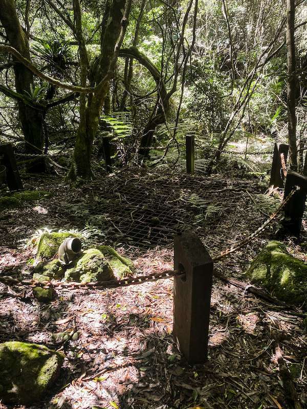 O'Reilly's Loop Old forestry well